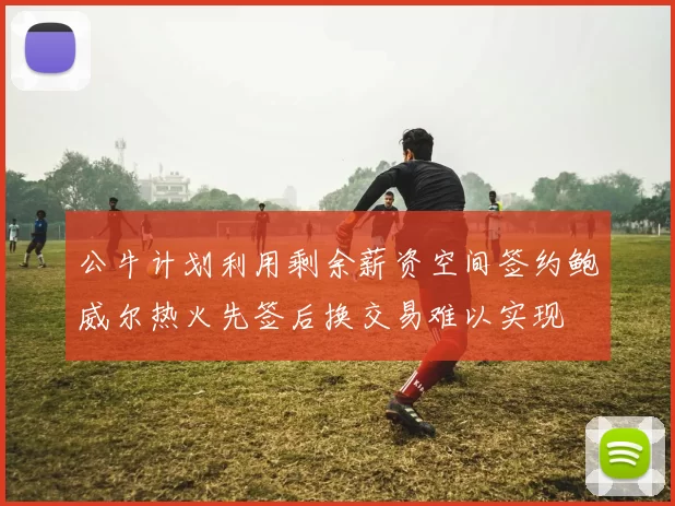 公牛计划利用剩余薪资空间签约鲍威尔热火先签后换交易难以实现